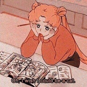 Meet your Posher, Natasha